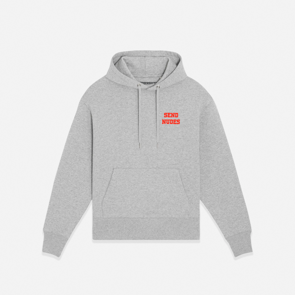 SEND NUDES HILLS HOODIE - GRAY